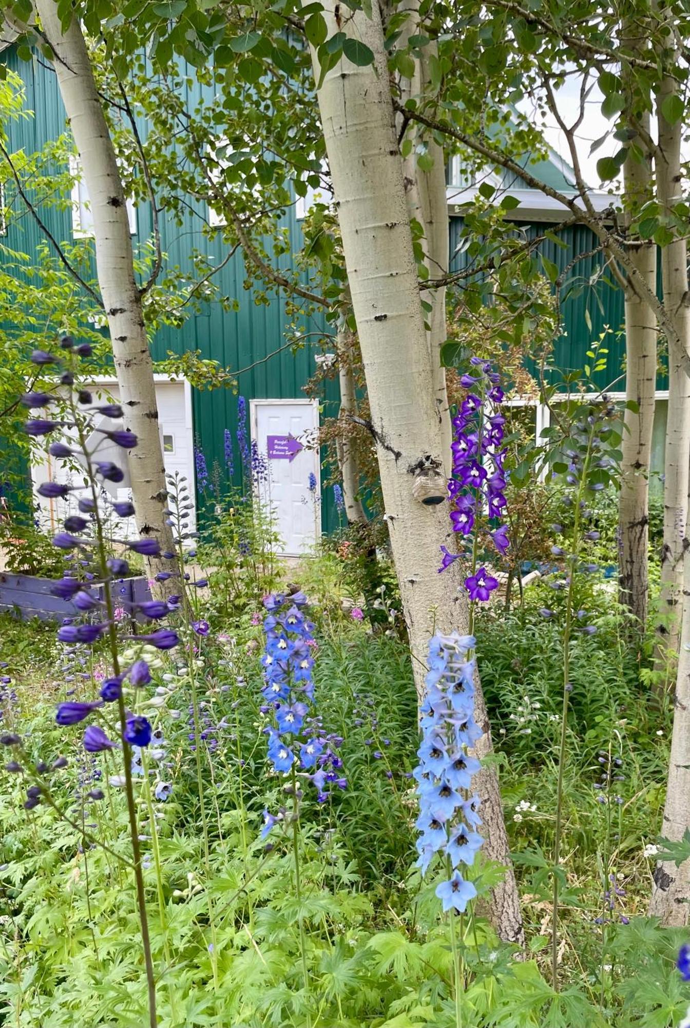 Yukon River Farm Whitehorse Extérieur photo